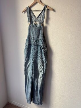 Madewell Relaxed Carpenter Overalls (medium, 6-8)